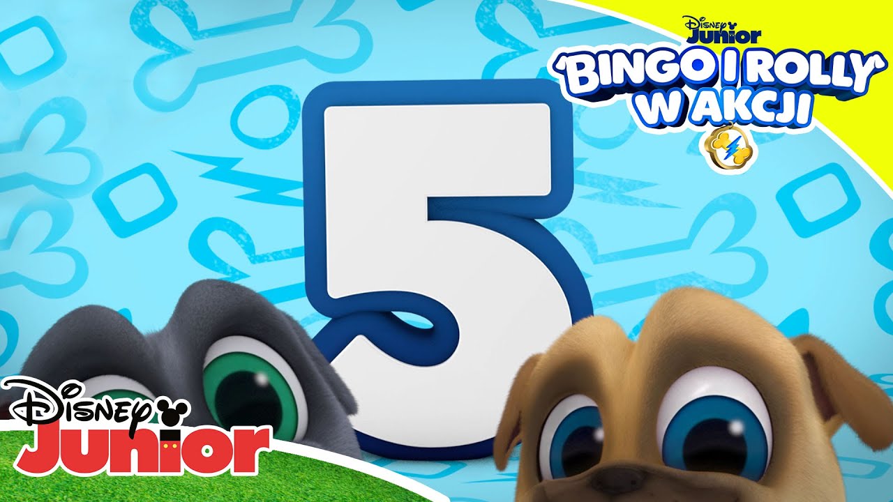 🐾5 dowodów przyjaźni | Bingo i Rolly w akcji | Disney Junior Polska