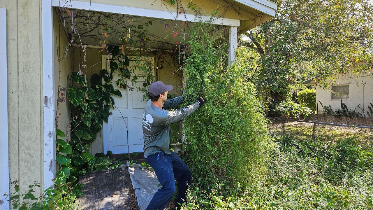 Cleaning Up The Neighborhood - Transforming OVERGROWN Property Teenagers Use as a DRUG HOUSE