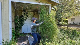 Cleaning Up The Neighborhood - Transforming OVERGROWN Property Teenagers Use as a DRUG HOUSE