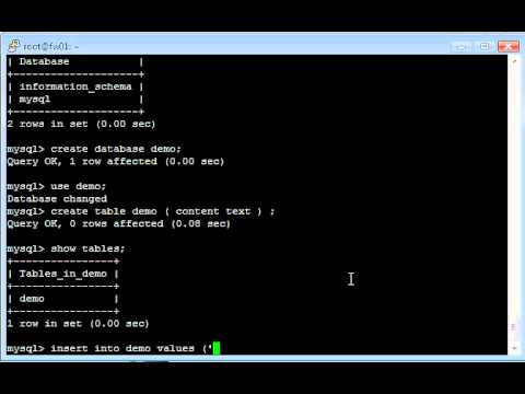 Mysql root password forget