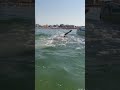 #short#Italian Beach/समुद्र 🏖️#Avi Italian vlogs