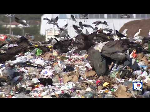 ‘Super charcoal’ could divert waste from South Florida landfills
