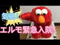 【エルモ】緊急入院!
