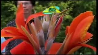 Tuhan Gampamasi - Somiun Gonong