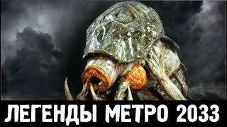 КРЕВЕТКА —  ЛЕГЕНДЫ «МЕТРО 2033»