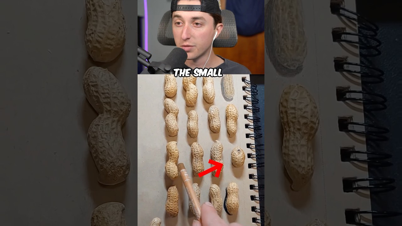 FIND THE FAKE PEANUT ✍️ #shorts
