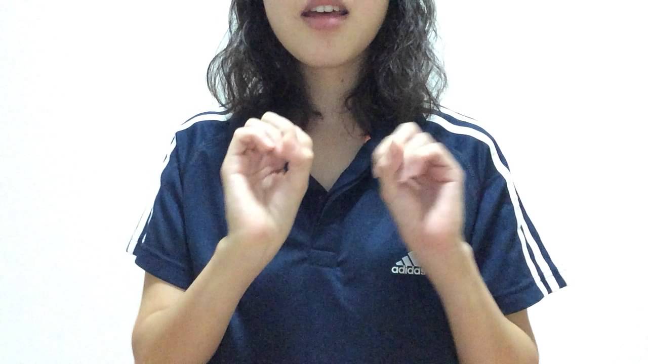 空も飛べるはず 手話歌