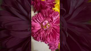 Annaprashan Decoration at home | #diy #annaprashan #decoration #ytshorts #photography