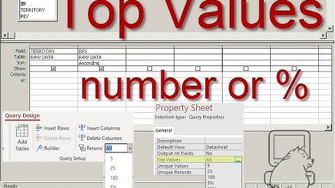 Using TOP Values in an Access Query ~ DataPig