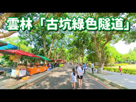 【雲林景點】斗六美食「魷魚嘴羹」、古坑「綠色隧道」、「蜜蜂故事館」 ( 完整記錄 ) 4K