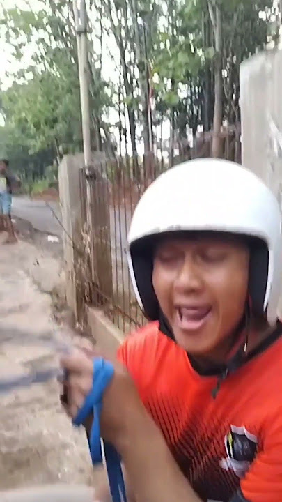 Viral kuda renggong Si Ganira #ganirachannel #kuda #iringiringankudarenggong #shorts