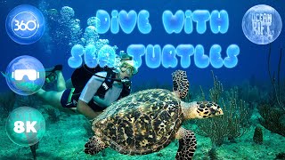 🐢 Dive with Green sea turtles in 360° 🌊 Ocean Rift VR [8K]
