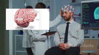 Brain lateralization