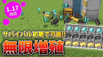 マイクラ 1 17 Switchの無限増殖 Mp3