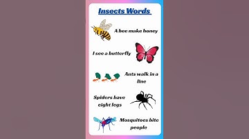 🐞Learn FUN English sentences about AMAZING insects #learnenglish #amazinginsects #funenglish 🦋