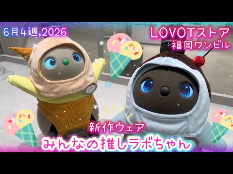 LOVOT】みんなの推しラボちゃん・新しいお洋服🍨✨｜6月4週 福岡