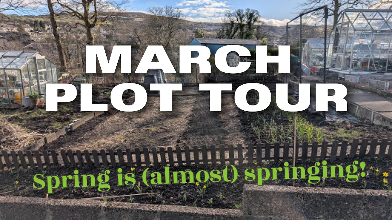 MARCH 2025 - Plot Tour and first harvests