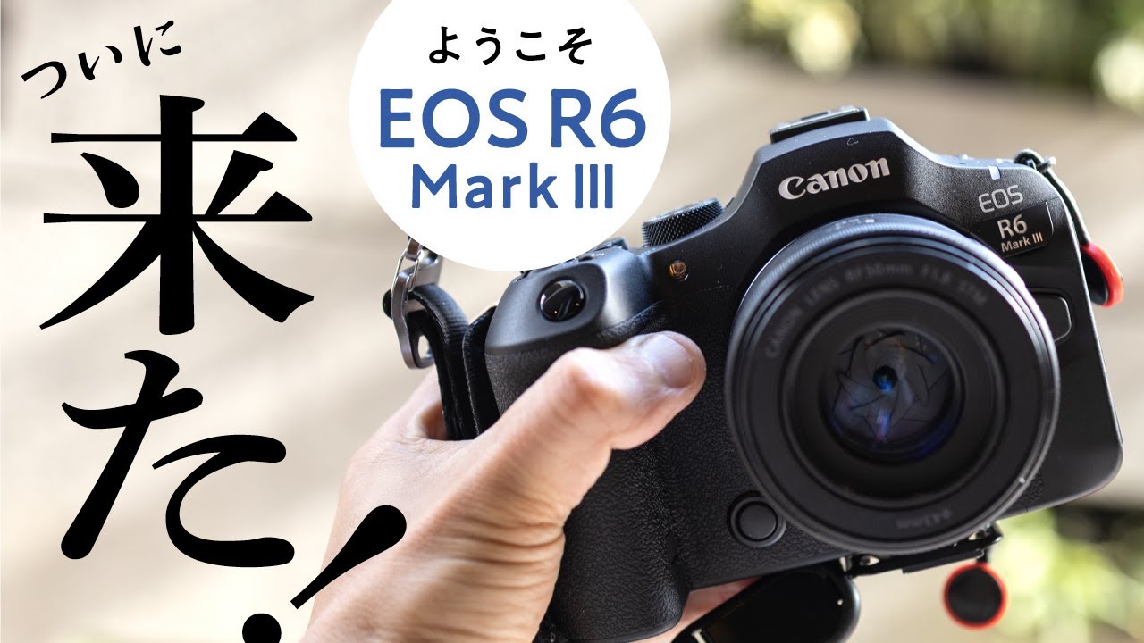 ☆CANON⭐︎カノン☆プロフィール必読 】 ☆CANON⭐︎カノン