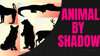 Animal By Shadow Quiz #3 🐂🐯🐘 Animal Shadow Game | Shadow Matching Game | Junky Signs screenshot 3