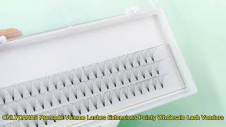 Premade Fans Pointy Stem Eyelash Wholesale Lash Vendors#shorts #wholesale #best screenshot 5