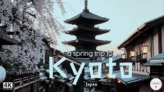 Kyoto During Peak Sakura | Cherry Blossom Hunting, Cafe Hopping | Cinematic Japan Vlog