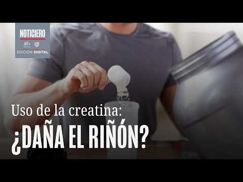 Does Creatine Use Damage Your Kidneys?