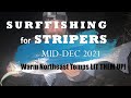 SURF FISHING STRIPED BASS on a Warm December Night in the Northeast 2021