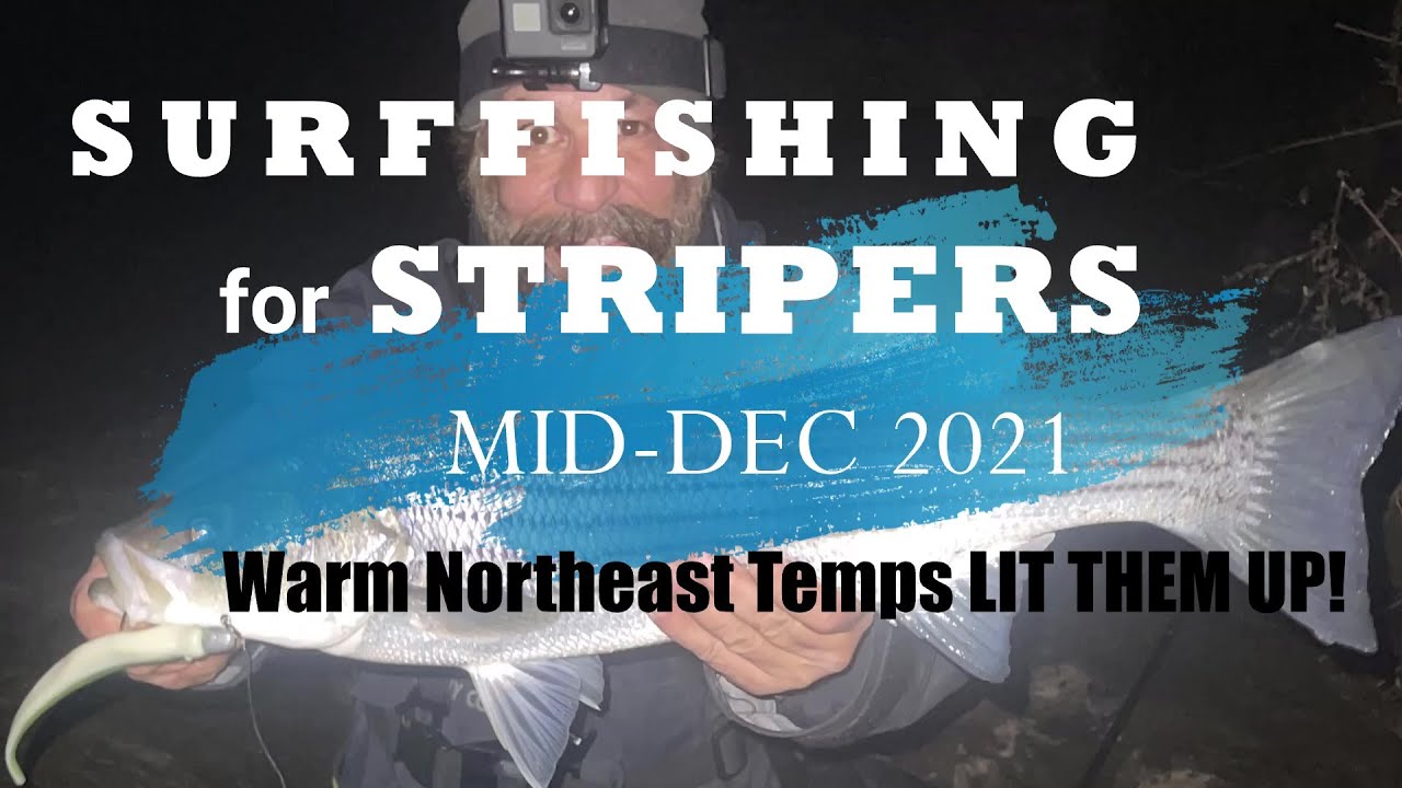 SURF FISHING STRIPED BASS on a Warm December Night in the Northeast 2021