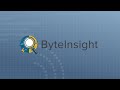 ByteInsight: Know Your Code Before You Modernize