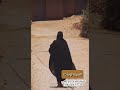الشاعر حمد بن رباع الكعبي قصيدة لوديات