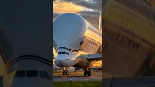 L'avion le plus étrange du monde ! 🐳✈️ Il est si gros qu'il transporte des pièces de fusées...