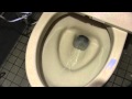 一週間に一度 簡単トイレ掃除＋スタンプクリーナー 神様が現れるかも？