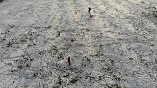 Snowday 2021, Anstey, Leicestershire