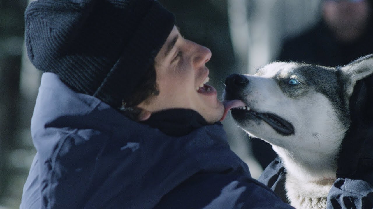aspensport Feed the Need to Travel With Avioner Mark McMorris