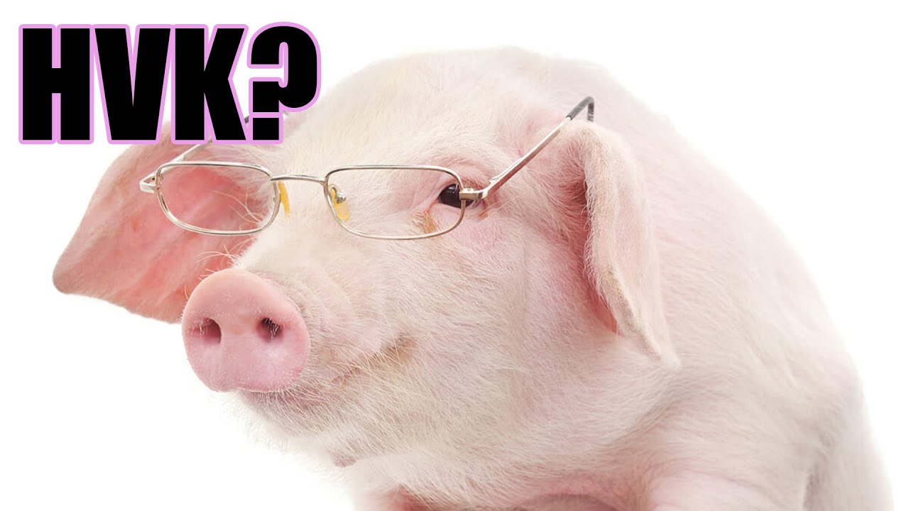 DANK RISHU - pSuDo INTELLECTUAL PIGGA | WHO CARES