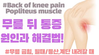 무릎 뒤 통증 도대체 왜!!!?(굽힘, 필때, 등산,계단 내려갈 때 통증)(Back of Knee pain popliteus muscle)