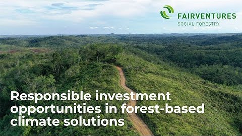 Fairventures Social Forestry
