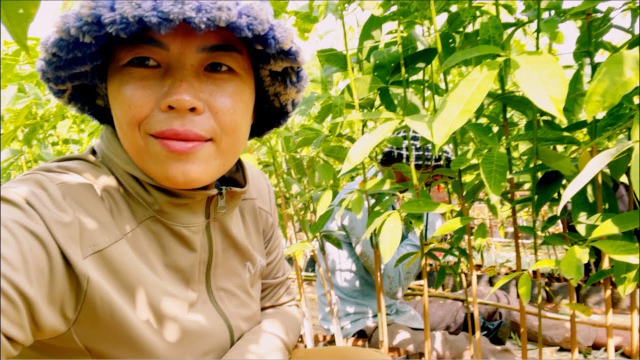 បំបៅកូនកៅស៊ូ Today I went to see my sister-in-law breastfeeding her baby.@SokleangFamilylife