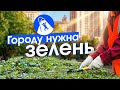 Зачем нужно озеленять город и чем хороши тополя на улицах