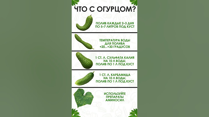 БЫСТРЫЙ способ проверить, что НЕ ТАК с огурцами! #огурцы #садоводство #огород
