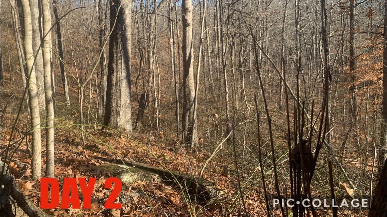 DEER HUNTING ON FINGER RIDGES!! YouTube