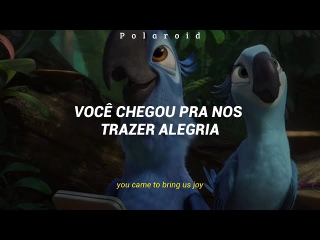 Você Chegou - Barbatuques (Lyrics + Sub Eng) class=