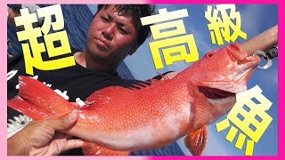 【沖縄の高級魚】船釣りで図鑑を埋める#4