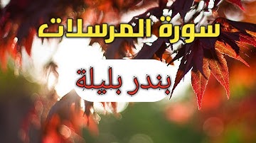 انظر الى الأعجوبة الشيخ بندر بليلة ماشاءالله سورة المرسلات #كل _يوم_صوت ⁦❤️⁩