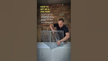 Set Up a Fox & Feral Cat Trap in under 3 Minutes