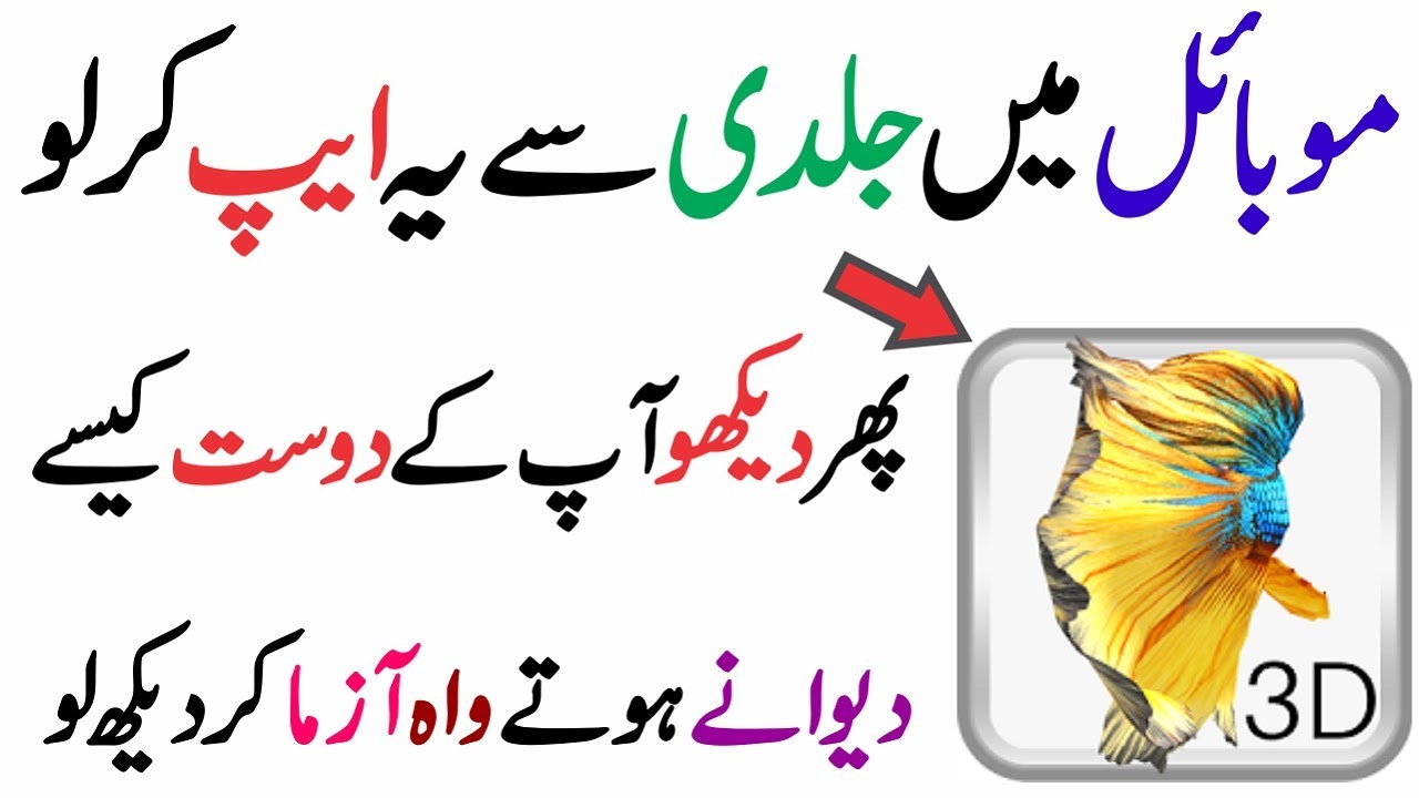 Unique Betta Fish 3D Live Wallpaper | New Live Wallpaper 2018 | My Technical Solution