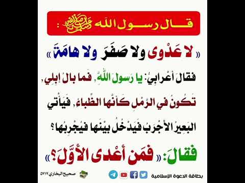 لا عدوى في الاسلام