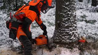 60 Years of Chainsaws – Husqvarna 65