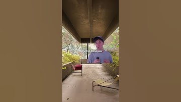 A BRUTALIST PARADISE 🌴 #opulentinteriors #homedecor #brutalism #architecture