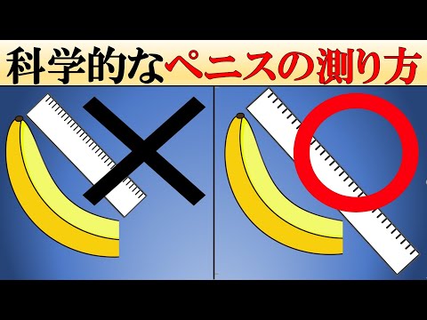 【意外と知らない】本当に正しいペ〇スの測り方【科学的解説】